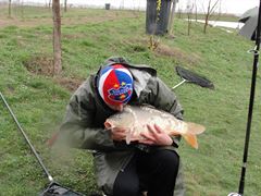 Floarea Popestiului 01.04.2012